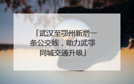 武汉至鄂州新增一条公交线，助力武鄂同城交通升级