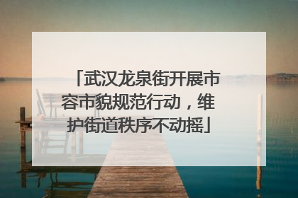 武汉龙泉街开展市容市貌规范行动，维护街道秩序不动摇