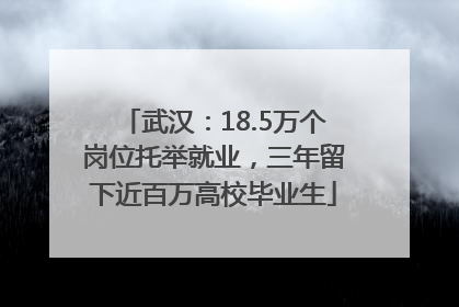 武汉：18.5万个岗位托举就业，三年留下近百万高校毕业生