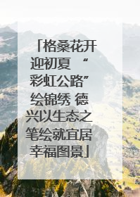 格桑花开迎初夏 “彩虹公路”绘锦绣 德兴以生态之笔绘就宜居幸福图景
