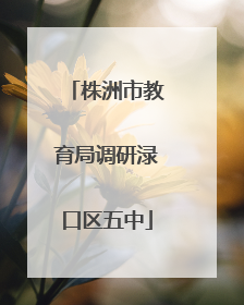 株洲市教育局调研渌口区五中