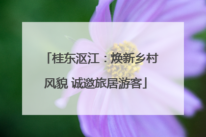 桂东沤江：焕新乡村风貌 诚邀旅居游客