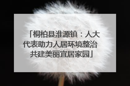 桐柏县淮源镇：人大代表助力人居环境整治 共建美丽宜居家园