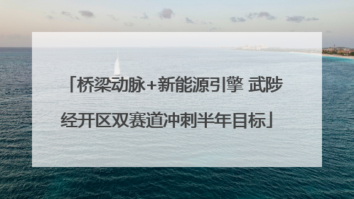 桥梁动脉+新能源引擎 武陟经开区双赛道冲刺半年目标