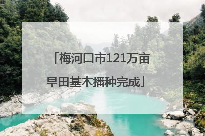 梅河口市121万亩旱田基本播种完成