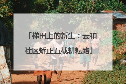 梯田上的新生：云和社区矫正五载耕耘路