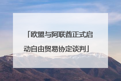 欧盟与阿联酋正式启动自由贸易协定谈判