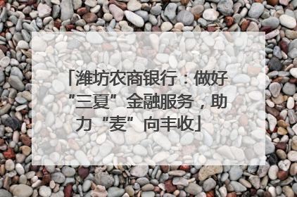 潍坊农商银行：做好“三夏”金融服务，助力“麦”向丰收