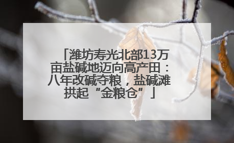 潍坊寿光北部13万亩盐碱地迈向高产田：八年改碱夺粮，盐碱滩拱起“金粮仓”