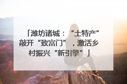 潍坊诸城：“土特产”敲开“致富门”，激活乡村振兴“新引擎”