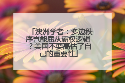 澳洲学者：多边秩序岂能屈从霸权逻辑？美国不要高估了自己的重要性