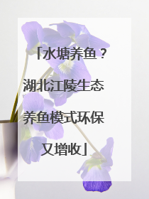 水塘养鱼？湖北江陵生态养鱼模式环保又增收