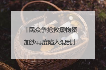 民众争抢救援物资 加沙再度陷入混乱