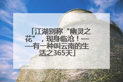 江湖别称“幽灵之花”，现身临沧！——有一种叫云南的生活之365天