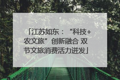 江苏如东：“科技+农文旅”创新融合 双节文旅消费活力迸发