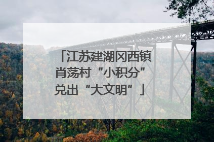 江苏建湖冈西镇肖荡村“小积分”兑出“大文明”