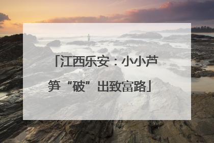 江西乐安：小小芦笋“破”出致富路