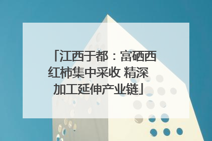 江西于都：富硒西红柿集中采收 精深加工延伸产业链