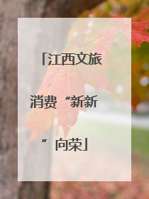 江西文旅消费“新新”向荣