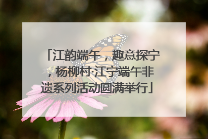 江韵端午，趣意探宁，杨柳村·江宁端午非遗系列活动圆满举行