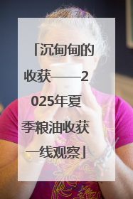 沉甸甸的收获——2025年夏季粮油收获一线观察