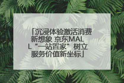 沉浸体验激活消费新想象 京东MALL“一站置家”树立服务价值新坐标