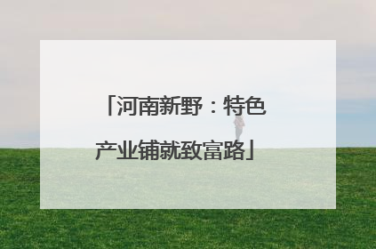 河南新野：特色产业铺就致富路