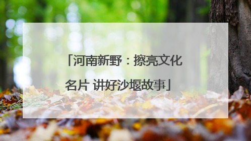河南新野：擦亮文化名片 讲好沙堰故事