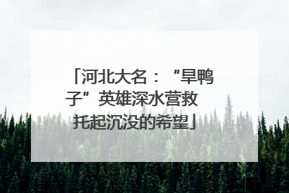 河北大名：“旱鸭子”英雄深水营救 托起沉没的希望