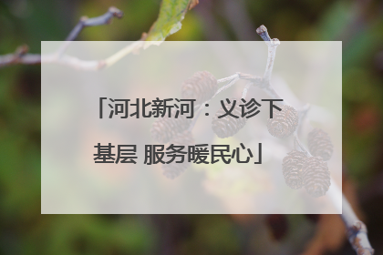 河北新河：义诊下基层 服务暖民心