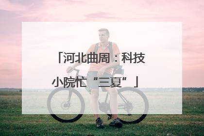 河北曲周：科技小院忙“三夏”