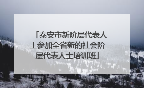 泰安市新阶层代表人士参加全省新的社会阶层代表人士培训班