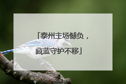 泰州主场憾负，藏蓝守护不移