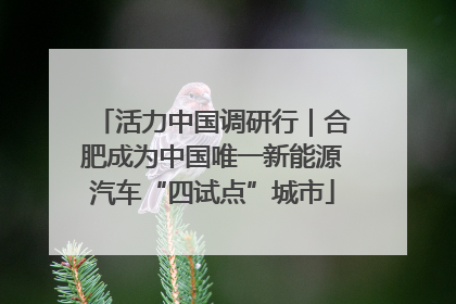 活力中国调研行｜合肥成为中国唯一新能源汽车“四试点”城市
