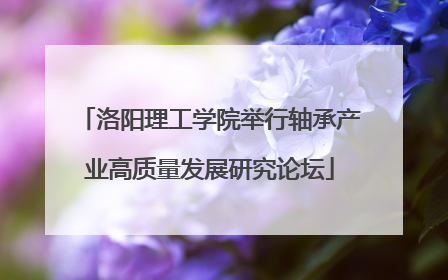 洛阳理工学院举行轴承产业高质量发展研究论坛