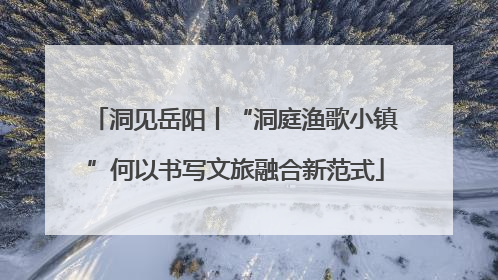 洞见岳阳丨“洞庭渔歌小镇”何以书写文旅融合新范式