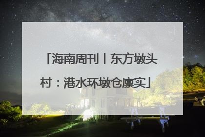 海南周刊丨东方墩头村：港水环墩仓廪实