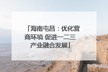 海南屯昌：优化营商环境 促进一二三产业融合发展