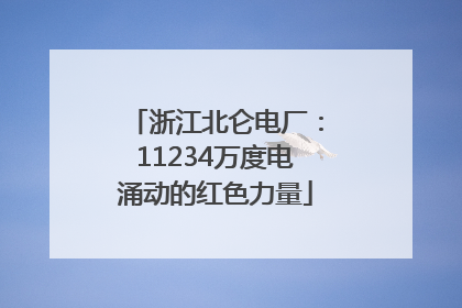 浙江北仑电厂：11234万度电涌动的红色力量
