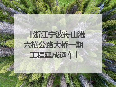 浙江宁波舟山港六横公路大桥一期工程建成通车