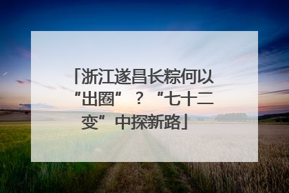 浙江遂昌长粽何以“出圈”？“七十二变”中探新路