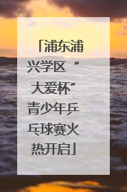 浦东浦兴学区“大爱杯”青少年乒乓球赛火热开启