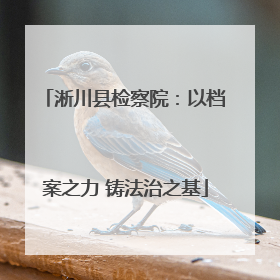淅川县检察院：以档案之力 铸法治之基