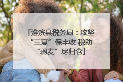 淮滨县税务局：攻坚“三夏”保丰收 税助“弱麦”尽归仓