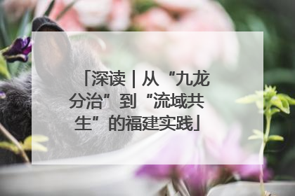 深读｜从“九龙分治”到“流域共生”的福建实践