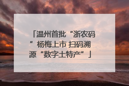 温州首批“浙农码”杨梅上市 扫码溯源“数字土特产”