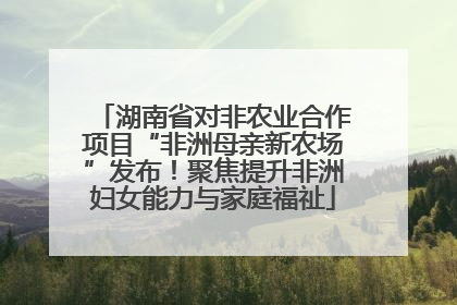 湖南省对非农业合作项目“非洲母亲新农场”发布！聚焦提升非洲妇女能力与家庭福祉