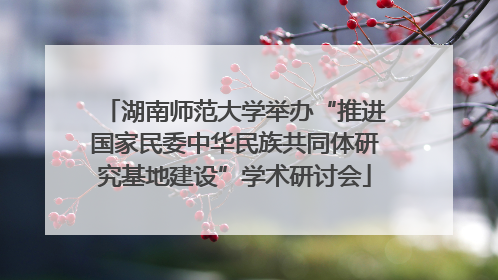 湖南师范大学举办“推进国家民委中华民族共同体研究基地建设”学术研讨会