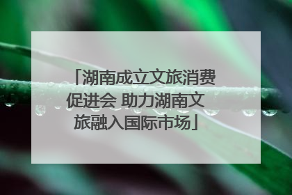 湖南成立文旅消费促进会 助力湖南文旅融入国际市场