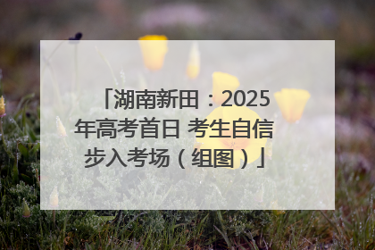 湖南新田：2025年高考首日 考生自信步入考场（组图）